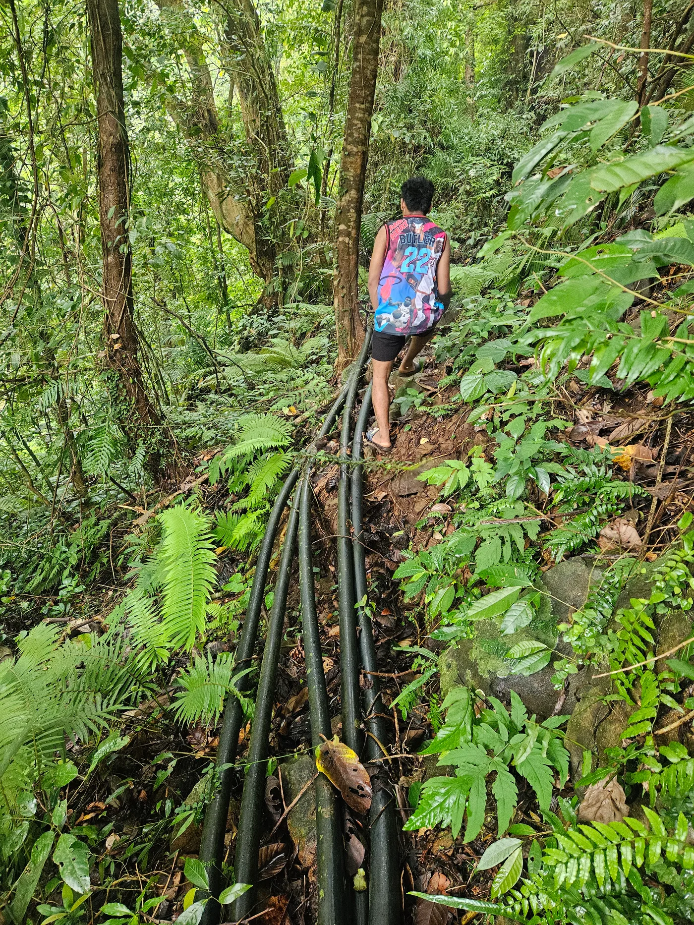 Agila Falls Waterline