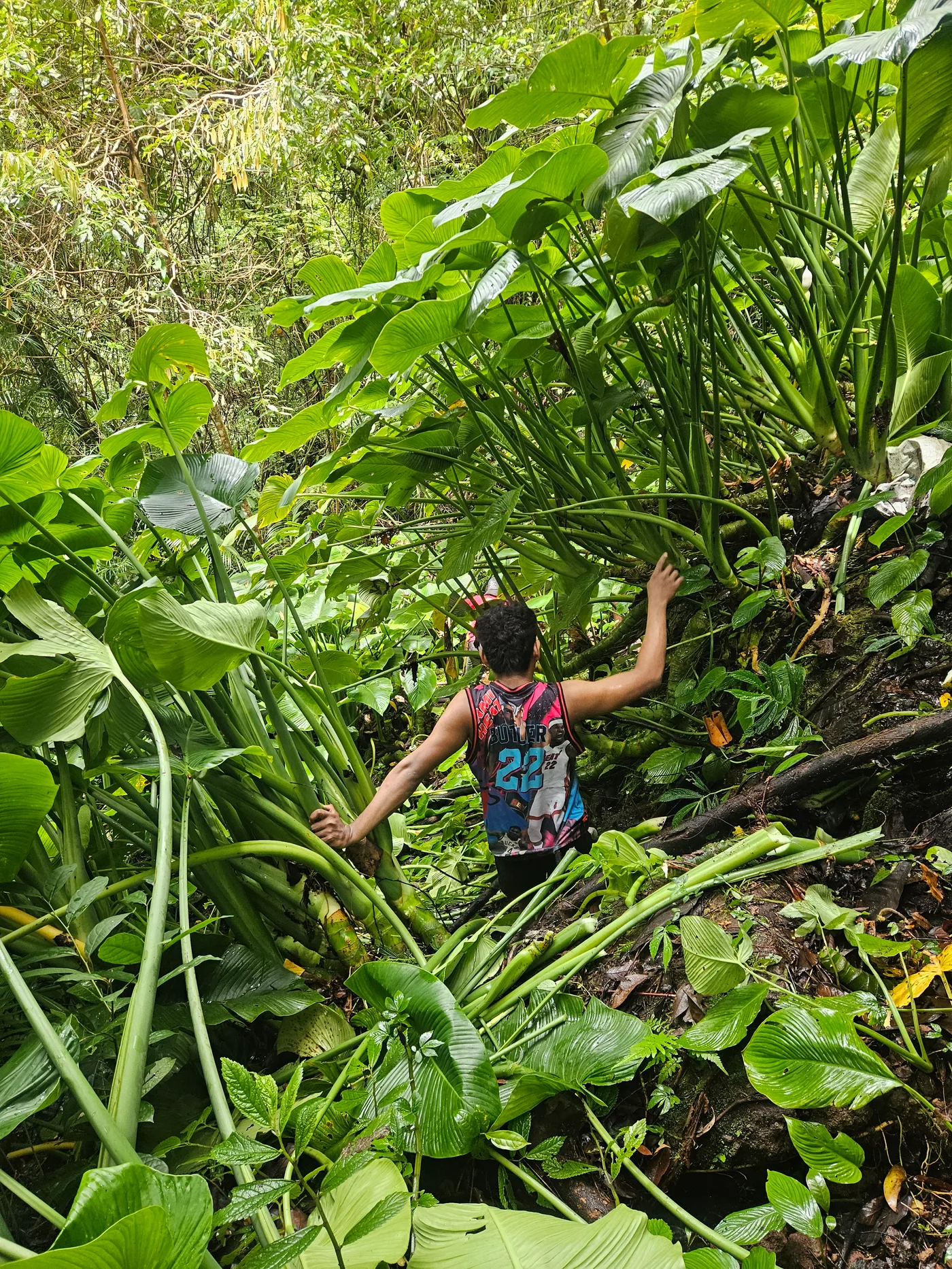 Agila Falls water Source