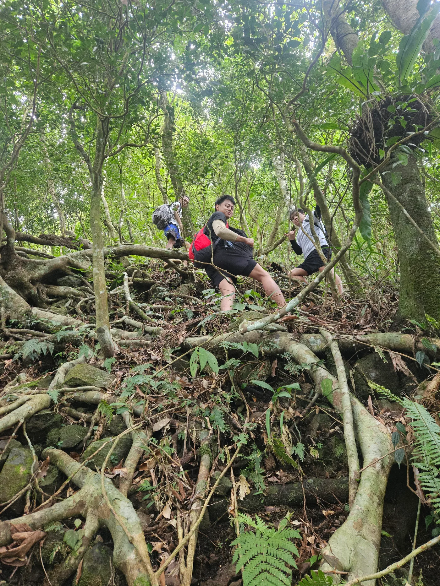 Mt. Cuyapo Ridge Assault
