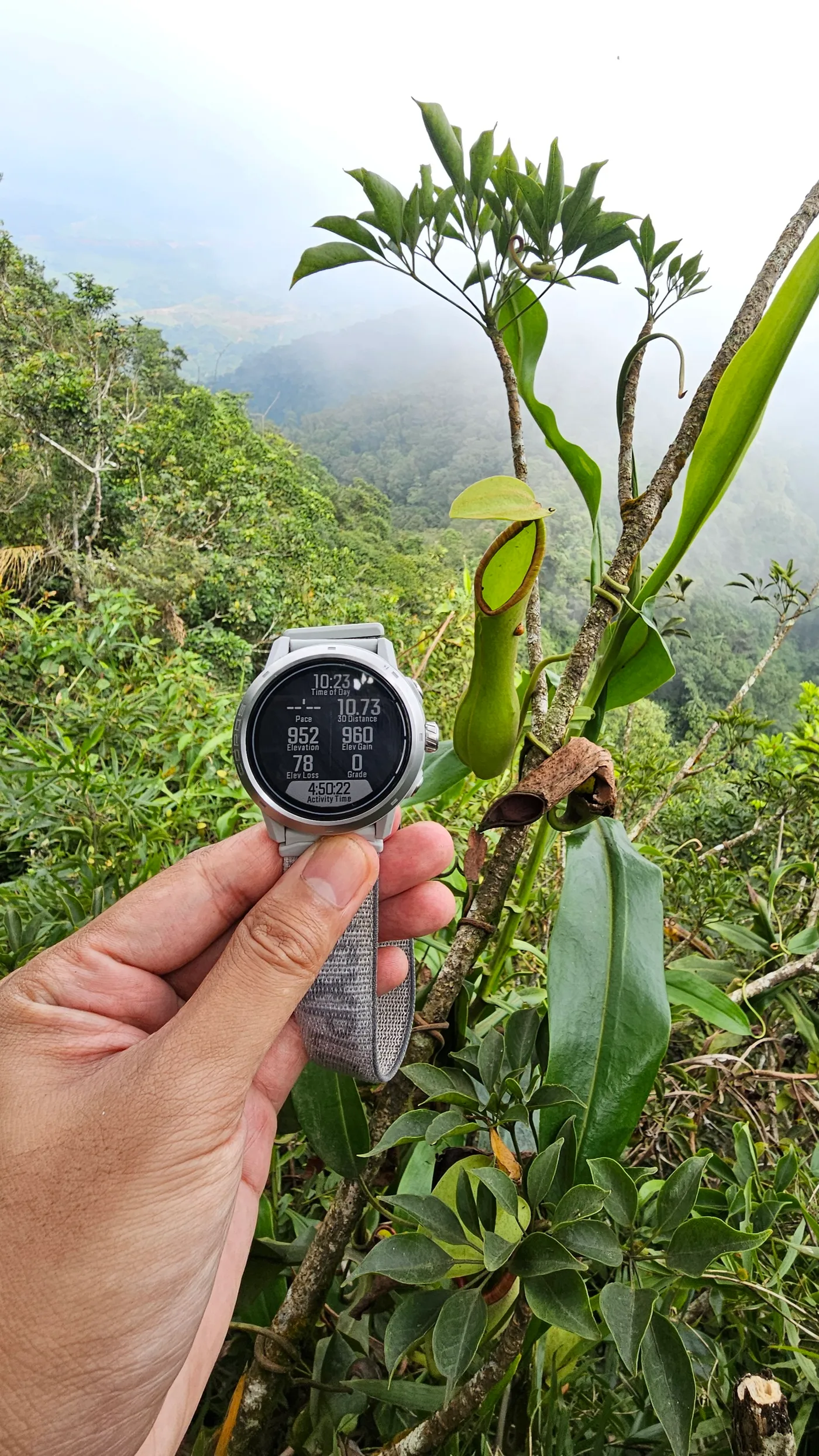 Mt. Cuyapo Summit