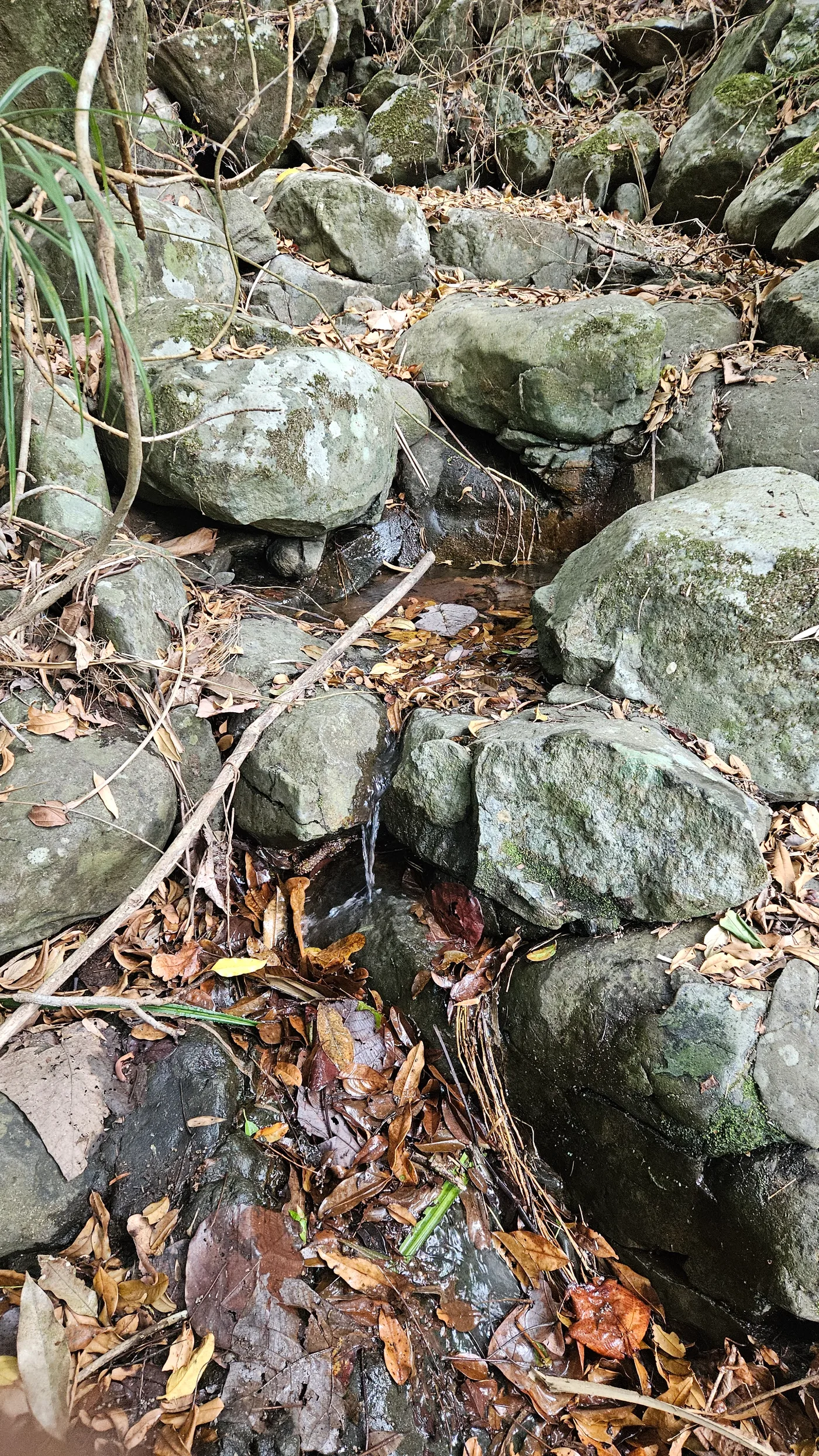 Water Source at Pantingan peak Campsite