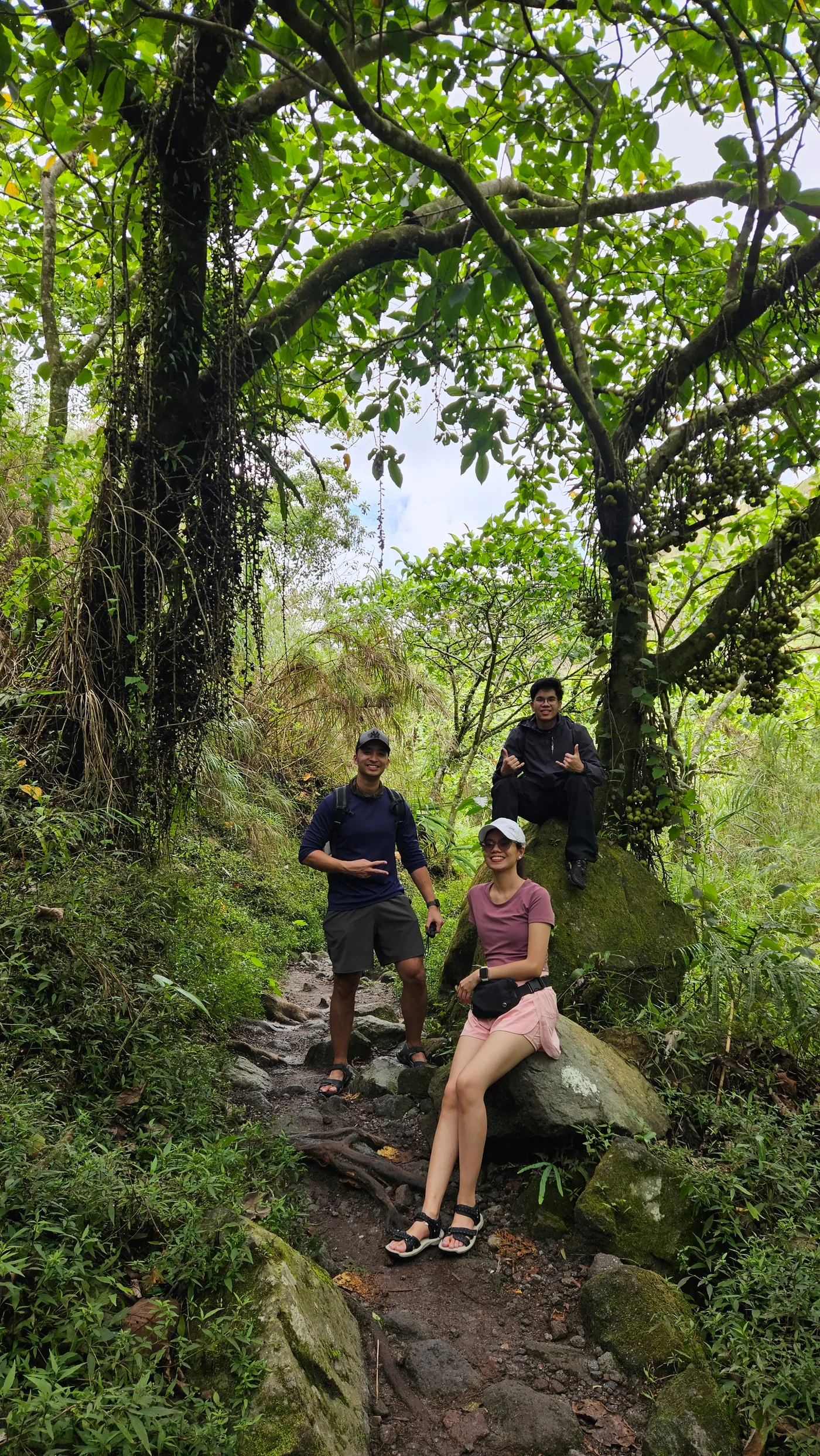 Trail going to Pinatubo Crater