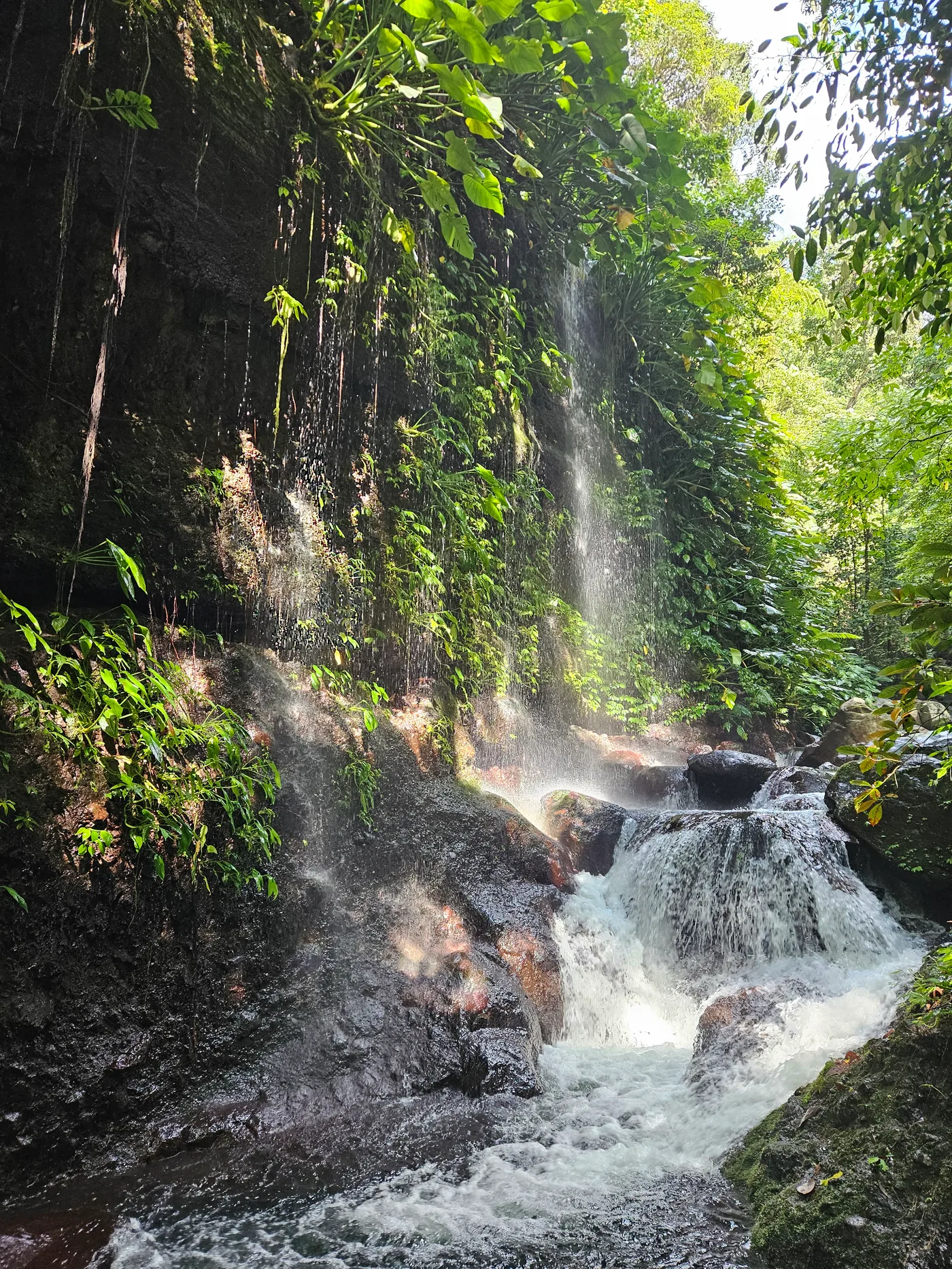 Agila Falls surprise
