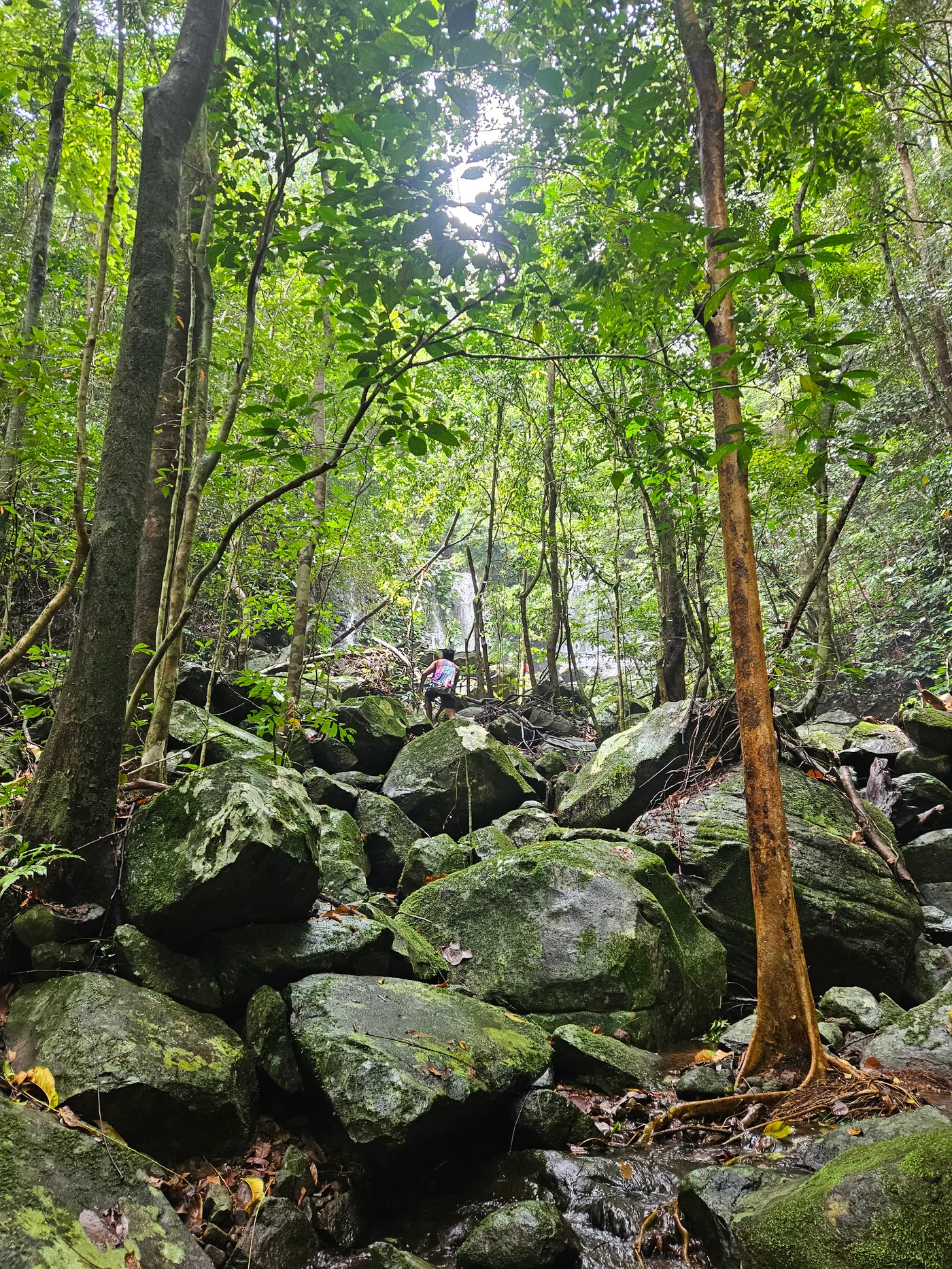 Ariada Falls Boulders